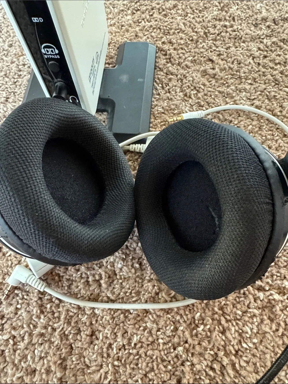 Turtle Beach this turtle